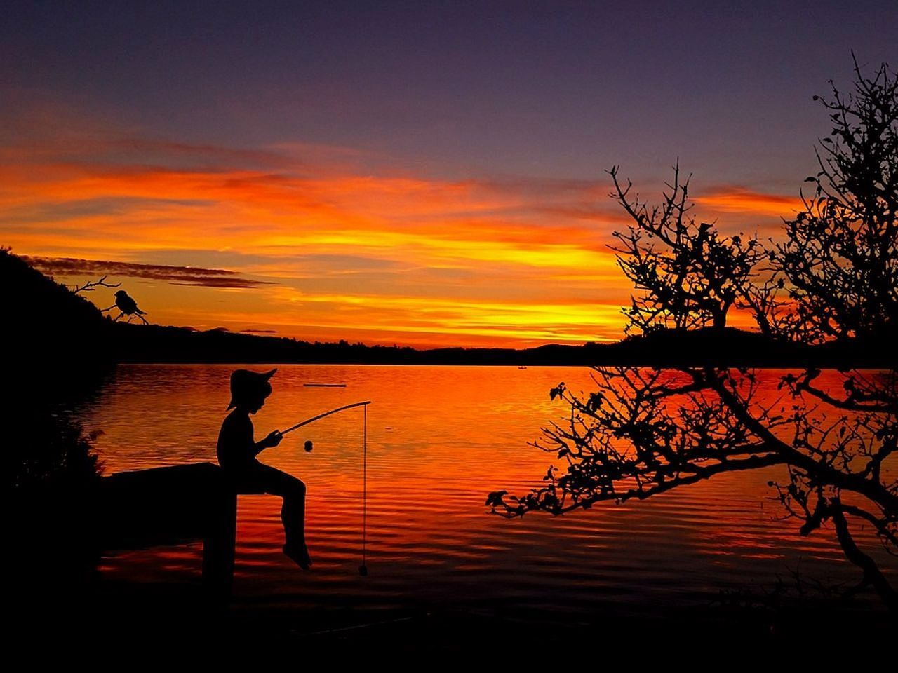 Selection of colorful fishing lures and tackle